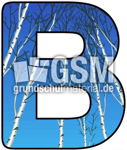 Frühling-Buchstabe-B.jpg